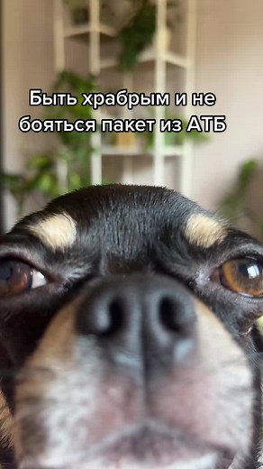 Рекомендовані акаунти