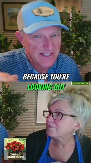 Transform Your Garden with Beautiful Blue Arrow Juniper Trees