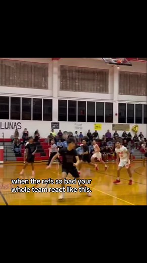 Understanding Poor Referee Decisions in Sports