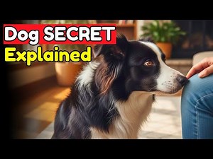 If Your Dog Sniffs THIS Part of Your Body, It Means THIS