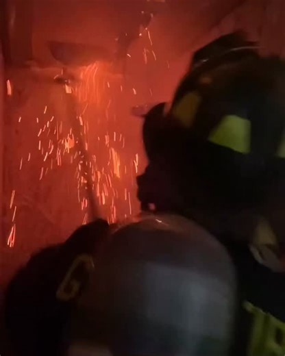 38K views · 8.8K reactions | The FACT will always remain, the only...