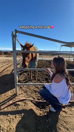piperrockelle on Reels