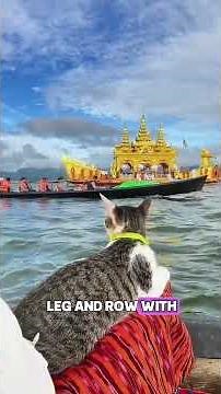 Myanmar Country Facts 🇲🇲 #funfacts #country #myanmar #facts #factshorts #factsvideo