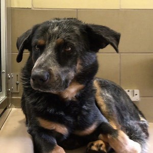 32K views · 330 reactions | ✨ Sweet Finn. We love you. We are not...