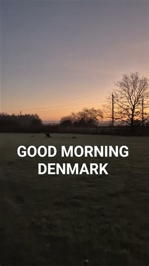 Good Morning Denmark 🇩🇰 | Peaceful Morning Walk | Winter Sunrise #Shorts