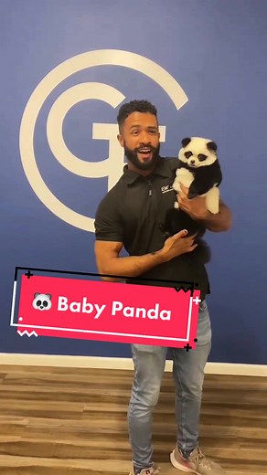 Transforming Dog into Baby Panda | Safe Dyeing for Pets