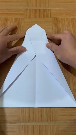 Review of origami paper plane flying along the rocky beach 25M away #shorts