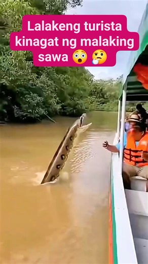 Angelito Siongco on Instagram: "Lalakeng turista kinagat ng malaking sawa 😲 🤔 #follower #AI #tourist #python #BigPython"