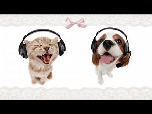 Cute/Happy/Silly edit audios!! + Timestamps in desc (500!!! 🎉🎉)