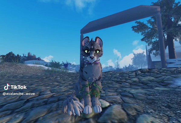 | ~ All the memories of the old map will be replaced with the new map ~ | 🏷️: #Avalanche #Avalanchewcue #wcue #wcua #Dramaticedit #warriorcatsultimateedition #warriorcatsultimateeditionroblox #Warriorcatsupdate #wcuepreyupdate #wcuemapupdate #Oldmap #Newmap