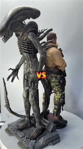 Hot Toys / Alan Dutch “Predator” vs Alien.#hottoys #predator #onesixthscale #arnoldschwarzenegger