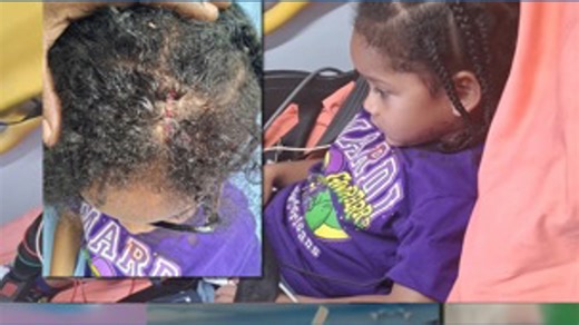 Five parades, five investigations: A carnival season timeline