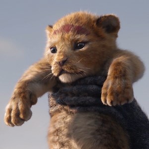 14K views · 126 reactions | 1 App, 7 perfiles, 4 pantallas simultáneas y descargas en 10 dispositivos 勞 #DisneyPlus | Disney | Facebook