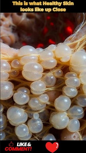 Skin and Beauty at the Microscopic Level | Health Science Explained | 10