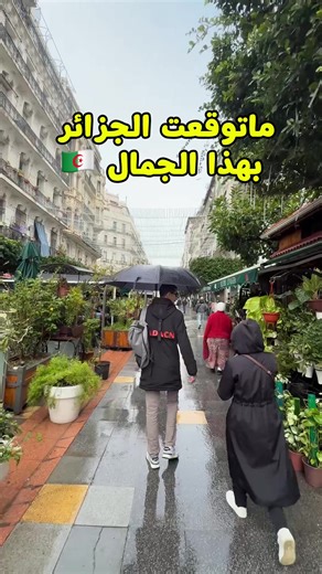 جمال الشوارع في العاصمة الجزائر