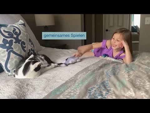 Flippity Fish | Der Zappelfisch, den jede Katze braucht | MediaShop.TV