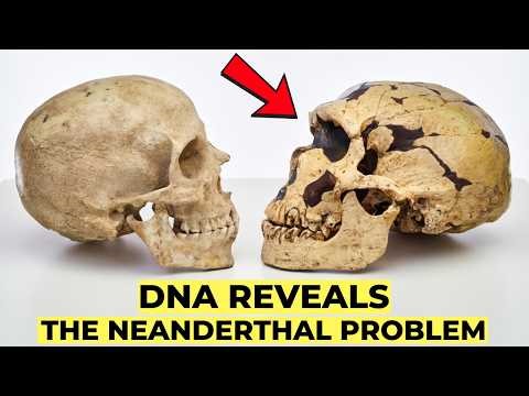 DNA Reveals the Neanderthal Problem That Scientists Don’t Want to Discuss
