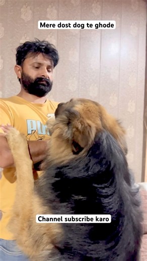 German Shepherd Dog Ke Saath Daily Routine/dog shorts #shorts #dog #germanshepherd #youtubeshorts