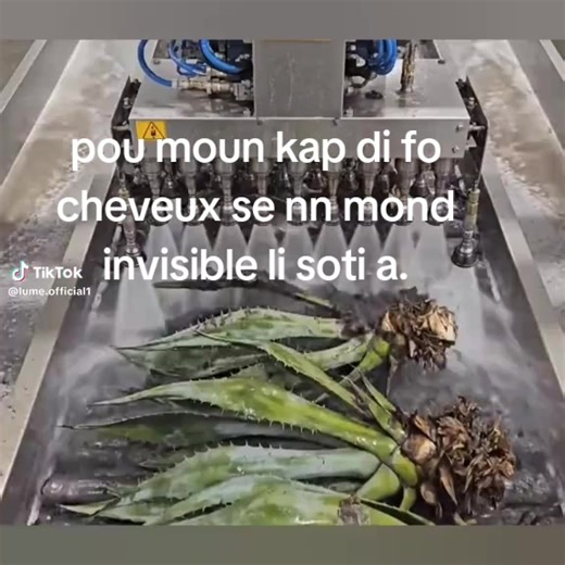 Videos de linda pierre (@estinguetjean12gmail.co3) con “original sound - Lume”