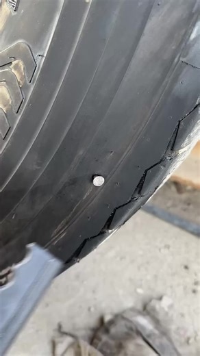 Exploring British and French Celebrity Cultures