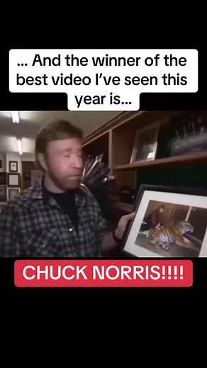 #chucknorris #chucknorrisjokes #funny #funnyvideos #chucknorrisfacts