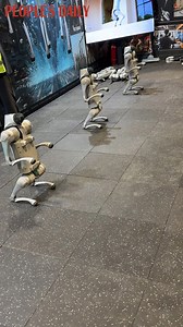 54K views · 4.8K reactions | Robot dogs pulled off a perfect dance choreography at a recent robot exhibition in Beijing, wowing visitors with their agile and flawless moves. | VideoChina | Facebook