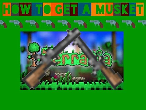 TechBull - Terraria - How to Get a Musket AND Arms Dealer