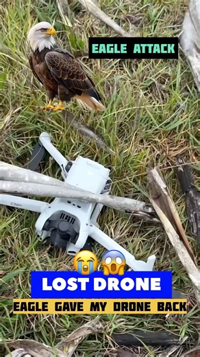 Lost New drone in Eagle attack😭🦅#drone #dji #djidrone #dronecrash #tech #lost