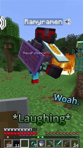 Default Settings in Minecraft #minecraft #NEFY #FamilyFriendly # TheNexusSMP #TheNexus