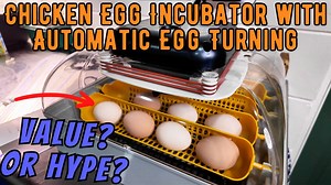 30 Egg Incubator with Advanced Features: A Homesteading and Prepping...