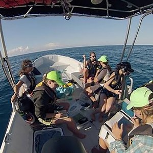 About MCERC - Marine and Coastal Ecology Research Center