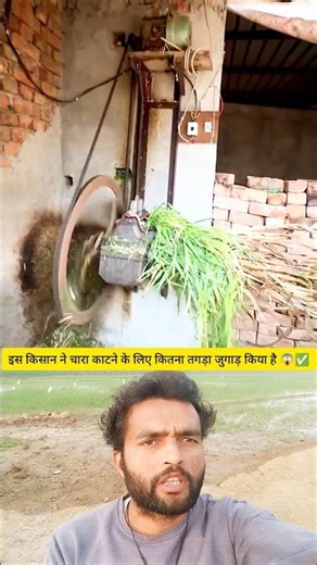 Indian Farmer’s Genius Jugaad for Cutting Fodder | Amazing Desi Grass Cutter Machine #shorts #facts