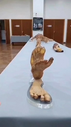 World of Biology on Instagram: "Caption this for me . Video via - @dr.babinski 👈 . 🇫 🇴 🇱 🇱 🇴 🇼 👇 @worldofmedicos_wom . Tag us & use - #worldofbiologywob #worldofbiologywob_reels 👈👈"