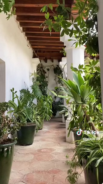 Museo, biblioteca y espacio increibles frente a Santo Domingo, entrada gratuita e increíble para visitar con amigos, familia o amorcito 📚🖼️ #oaxaca #quehacerenoaxaca