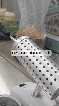 Quick DIY Grain Spawn for Mushrooms 🍄 #mushroom #mycelium #shorts