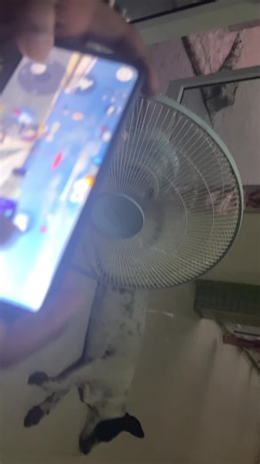 วิดีโอของ 🎸Hanfa🥳 (@hanfa565) พร้อมเพลง เสียงต้นฉบับ - 🎸Hanfa🥳