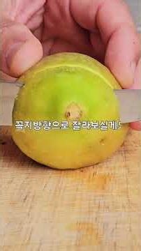 #무화과 #無花果 #fig #열매 #무화과효능 매년 이때쯤이면 부모님집 텃밭에 있는 무화과나무에서 열매가 열린다.