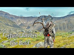 DIY Alaska Caribou Bow Hunt 3 BULLS DOWN | Haul Road Dalton Highway