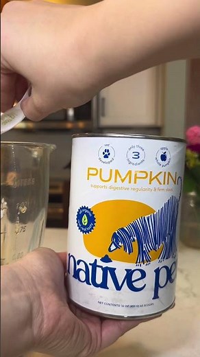 Home Remedy to Relieve Your Dogs Itchy Skin