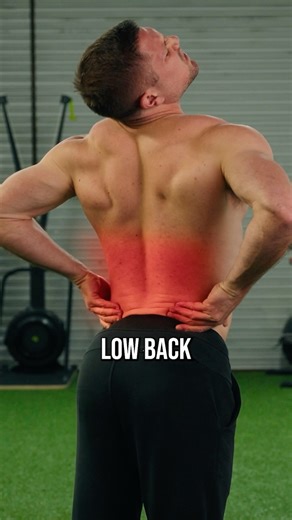 Conor Harris | “Core stabilization” will only get you so far fixing back pain. At some point, we have to introduce and train the core’s ability to create... | Instagram