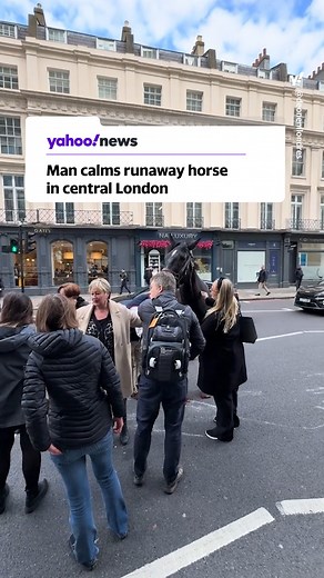 Several horses were spotted loose close to Buckingham Palace, with two of them being taken under control by police in Docklands following a dramatic pursuit. A many was filmed calming one of the animals after the traumatic incident. Police have since confirmed all of the escaped animals have been located and the situation is now stable. City of London Police said: “At around 8.40am, we were called about horses that had become loose and were travelling through the City. Our officers have containe
