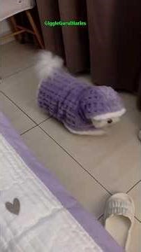 Best Funny Animal Clips Right Now 😂🐾 #shorts