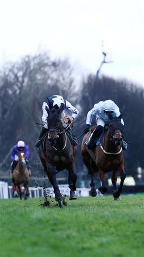 Leopardstown Racecourse on Instagram: "A battling and impressive performance from Romeo Coolio, driven home by Jack Kennedy to land the Goffs Irish Arkle Novice Chase. Another fantastic success for trainer Gordon Elliott.🏆💚 #leopardstown #dublinracingfestival"