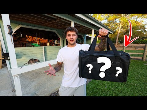 I Had to Adopt THIS Animal for My BARN!!