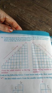 (e) Count the boxes in the following picture. Write the correct... | Filo