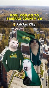 179K views · 1.6K reactions | Pov: you go to fairfax county virginia . . . #travel #usa #virginia #fairfaxcounty | Kitty Memes | Facebook