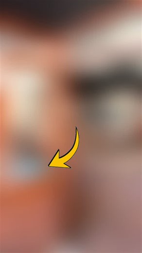 The team of Fremantle Animal Hospital are headed into Freo on Sunday 30th November to chat with local establishments about being dog friendly venues! If you have a favourite place you would like us to visit and give a Pet Friendly Freo sticker to tag them below! Don’t forget to follow our journey on our stories on Sunday and come find us to say “Hi” and a tasty treat for your dog! #petfriendlyfreo #dogfriendlyvenue #dogswelcome #localvet #fremantleanimalhospital #dogsoffreo #freovet #communityve