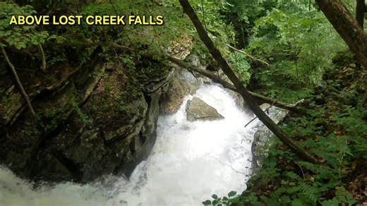 Have you ever took the trail to the top of Lost Creek Falls? Lost Creek Falls and Cave is part of Scott's Gulf Wilderness State Park near Sparta, Tennessee. #outdooradventuresintennessee #simplelifebigadventures #Tennessee #exploretennessee #tennesseewaterfalls #hike #hiking #waterfalls #waterfall ##lostcreekfalls #scottsgulf Simple Life, Big Adventures | Outdoor Adventures in Tennessee | Facebook