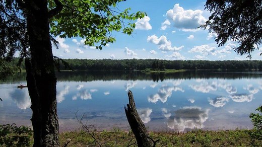 Sylvania Wilderness | Ironwood