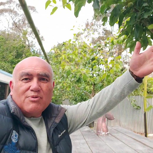 Garden table apple tree 🍎 . Over the warmer months we use our garden table heaps and the trees are slowly making more shade. While they are growing bigger every year I prune them for shape. Because the first purpose of the trees are to provide shade and the second is fruit (a bonus). So any branches that make it awkward to use the table are removed. 🍎🍐🍑 . #nzgardener #kiwigardener #kiwigarden #communityofgardeners #maramataka #growingkaibythemoon #maramatakamaori #gardeningbythemoon #lunarga